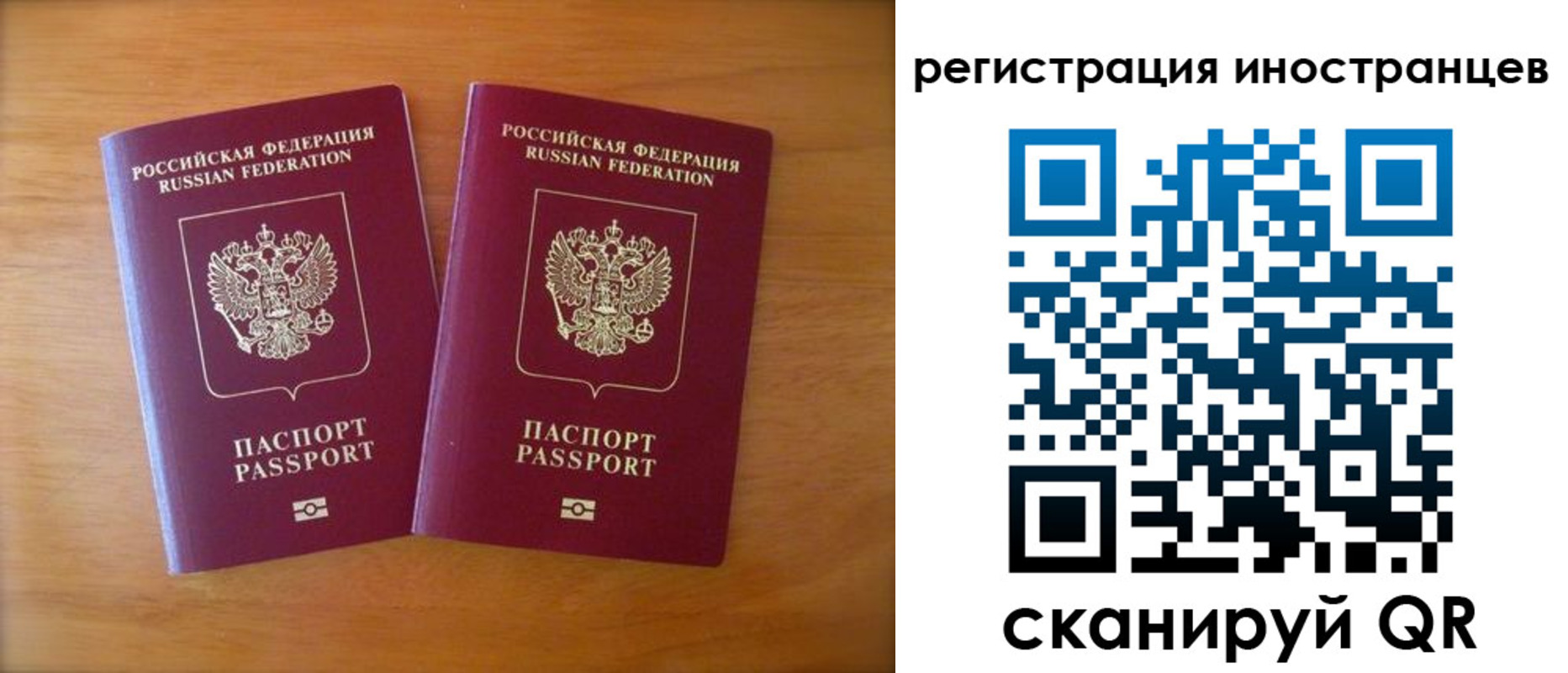 прописка поиск в Нелидово